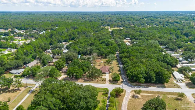 a view of a bunch of trees and bushes