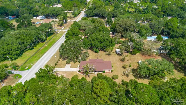 a view of a yard with plants and large trees