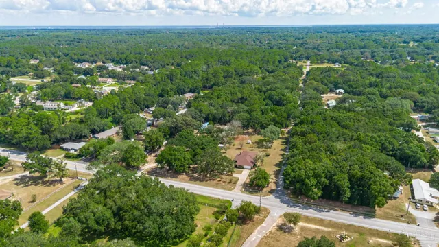 a view of a city with lush green forest