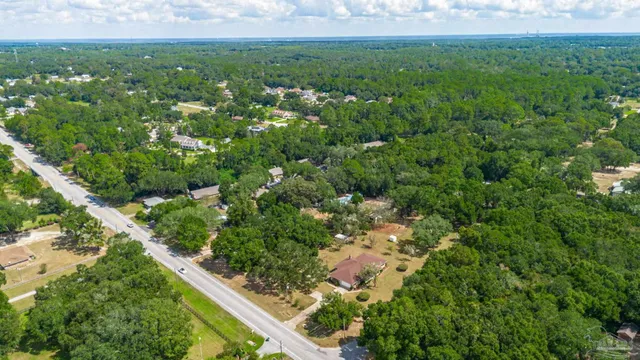 a view of a garden with a tree