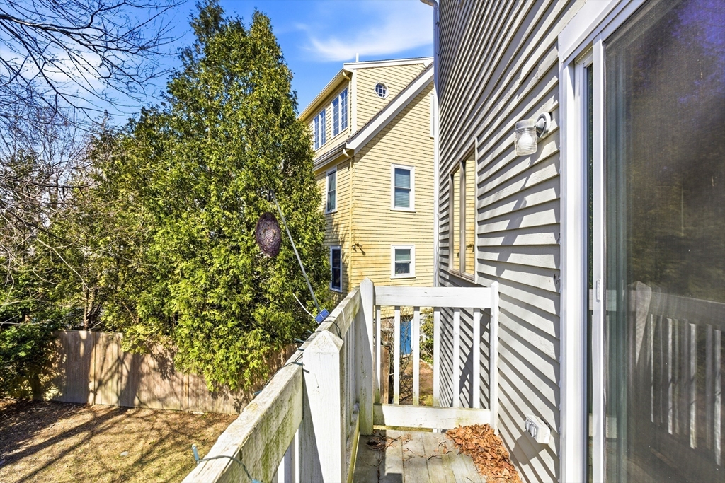 5 Meadowbrook Road, Unit 5 Chestnut Hill, MA 02467 - Photo 20 of 20