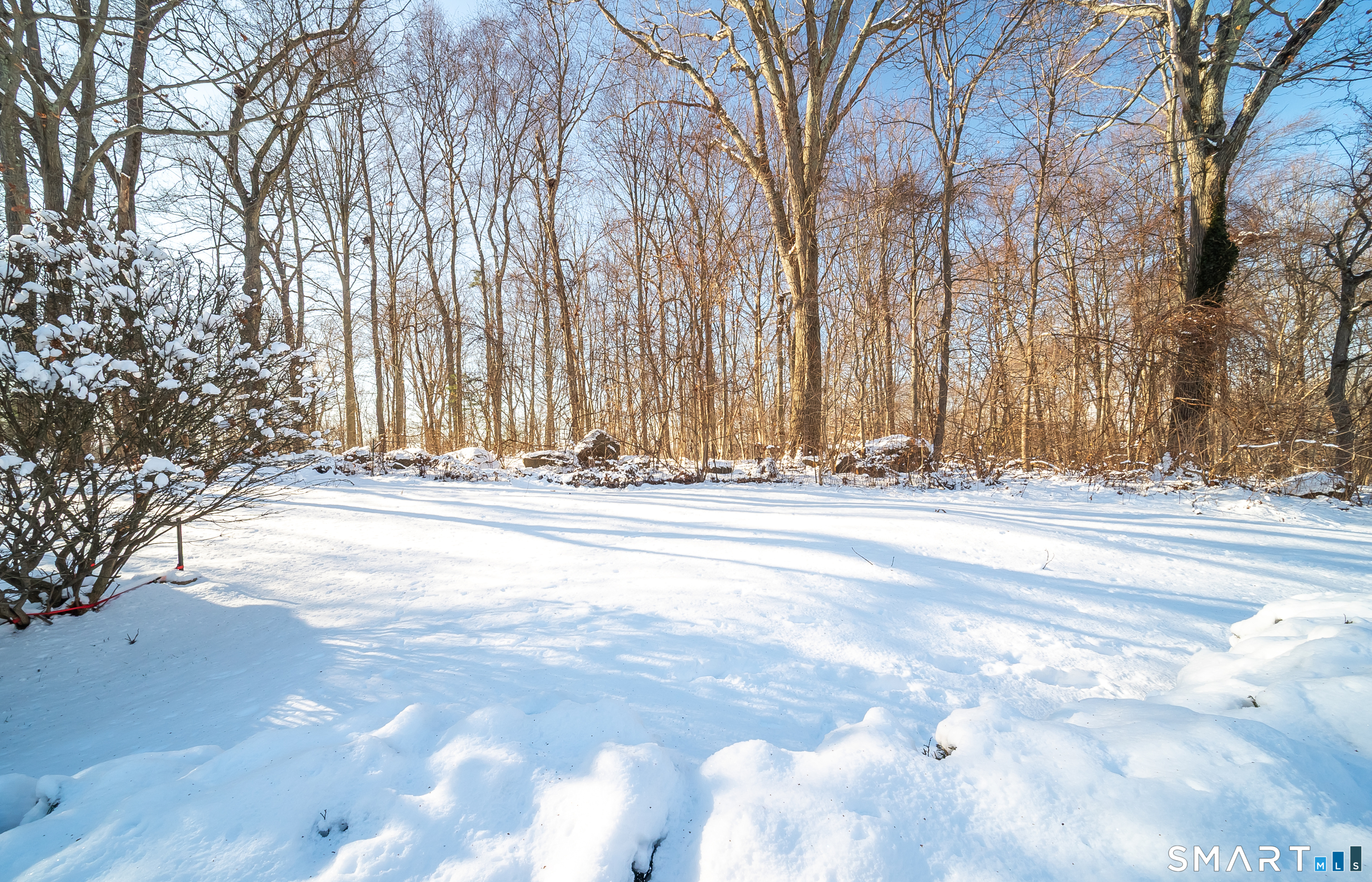 45 Craig Avenue Southington, CT 06489 - Photo 3 of 40 a view of road with large trees