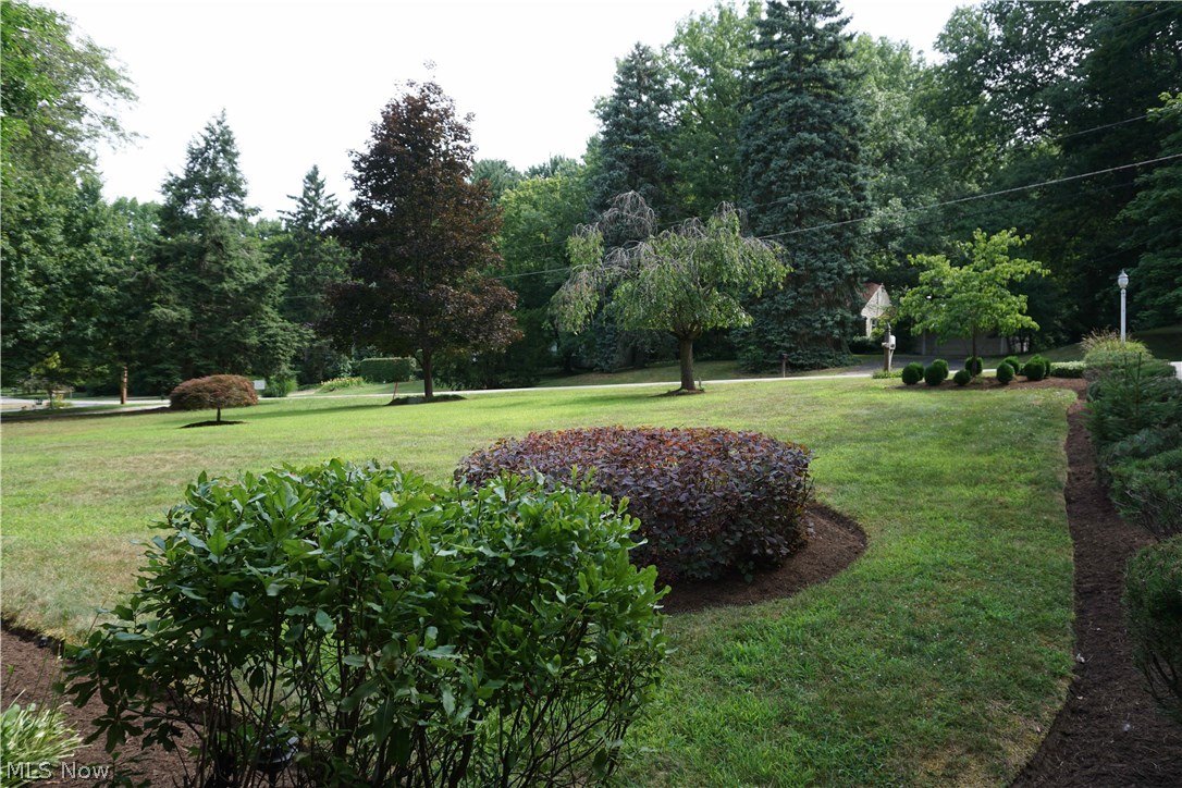 6490 Coleridge Road Painesville, OH 44077 - Photo 15 of 28 View to the street from the front porch