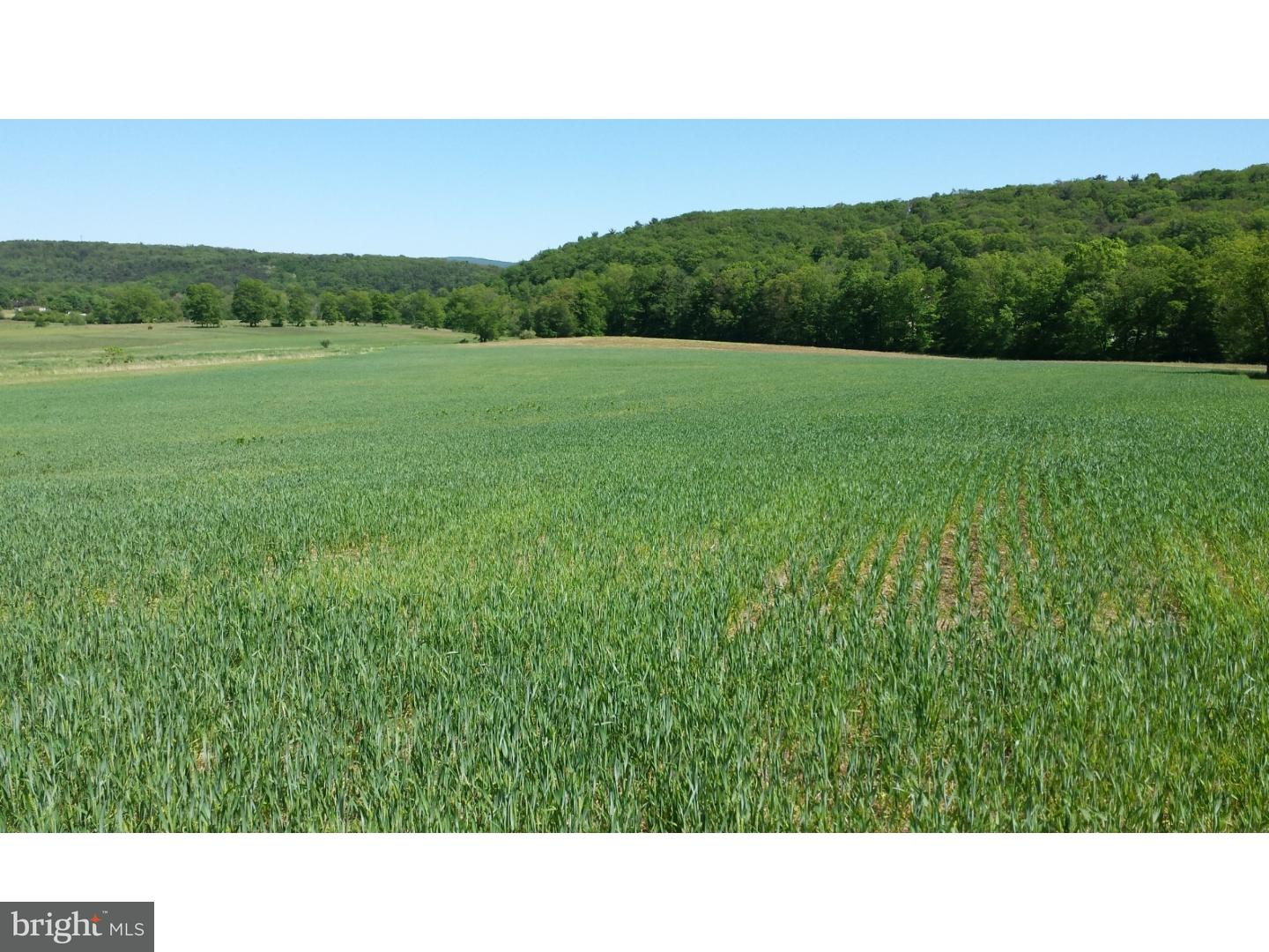 0 Oak Grove Road Pine Grove, PA 17963 - Photo 1 of 8 Gallery Image 1