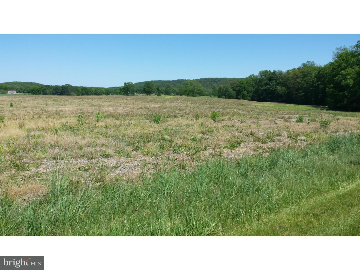 0 Oak Grove Road Pine Grove, PA 17963 - Photo 3 of 8 Gallery Image 3