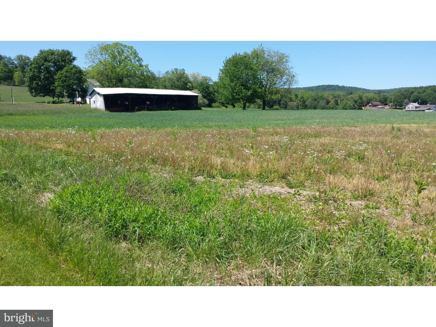 0 Oak Grove Road Pine Grove, PA 17963 - Photo 4 of 8 Gallery Image 4