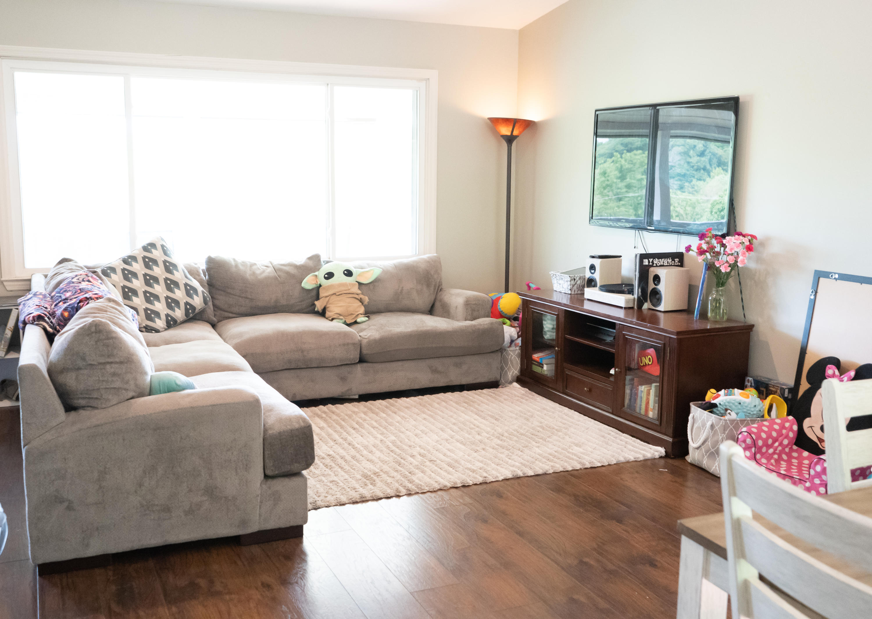 182 Maple Tree Lane Watauga, TN 37694 - Photo 6 of 13 DSC08564