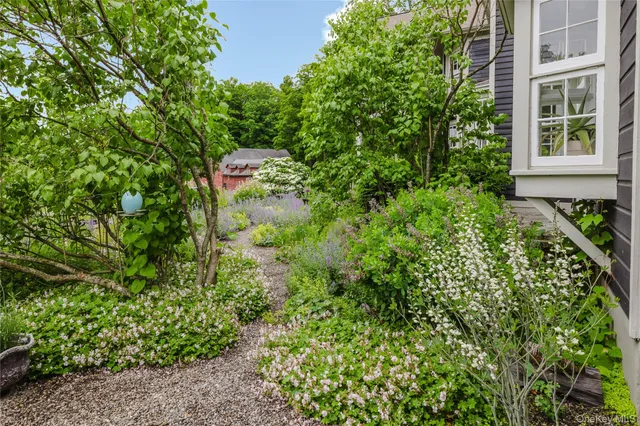 a view of a garden with plants