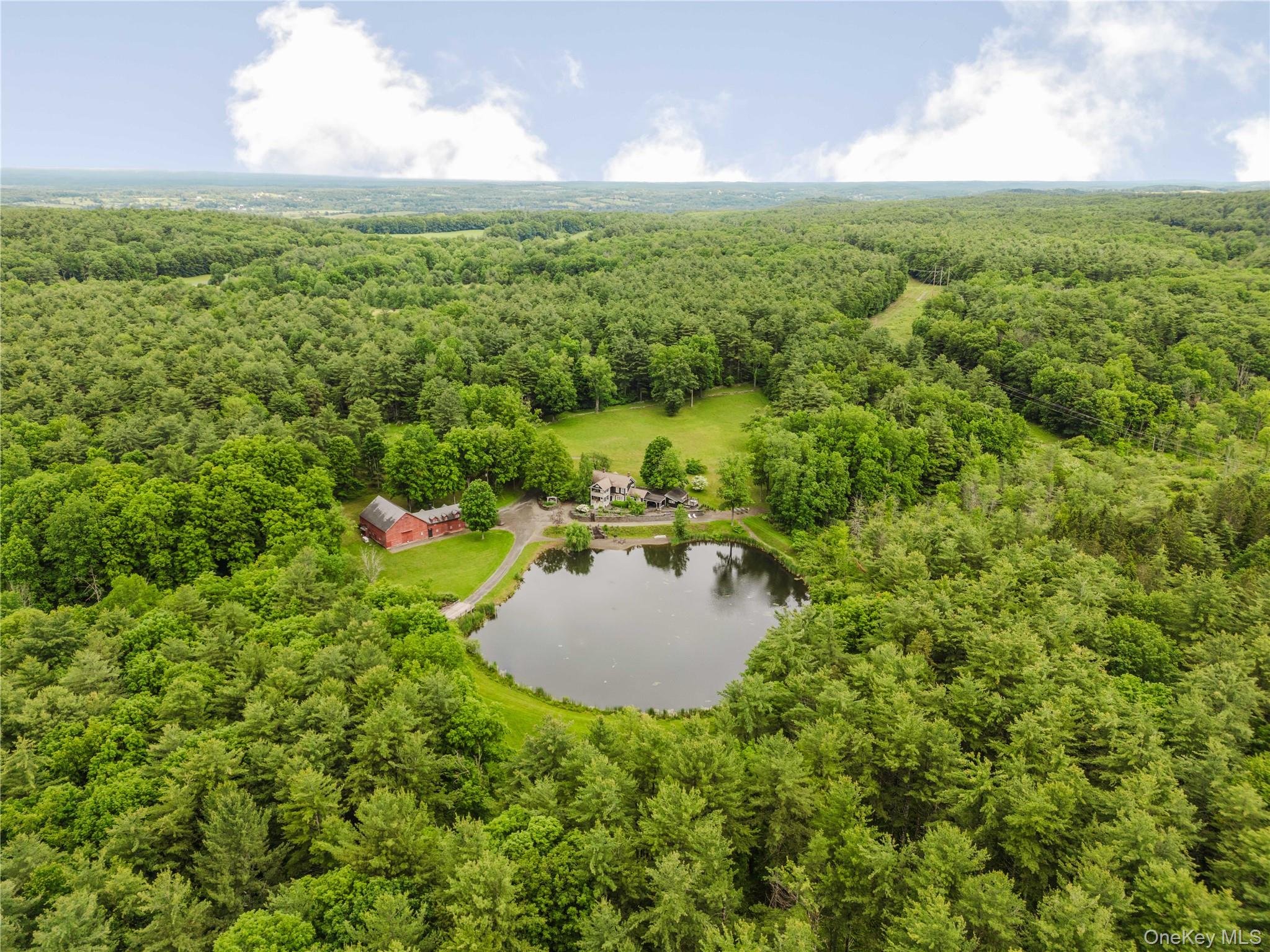 88 Mac Brown Road Claverack, NY 12513 - Photo 3 of 49 Aerial view of a heavily wooded area and a nearby body of water