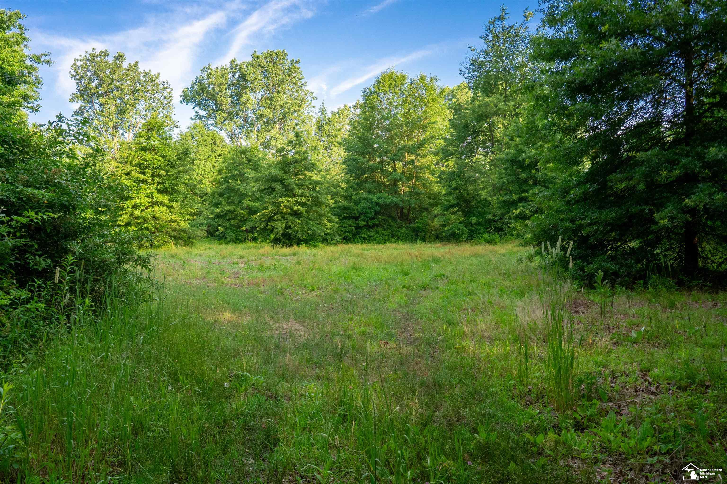 Parcel D Timbers Road Carleton, MI 48117 - Photo 1 of 20