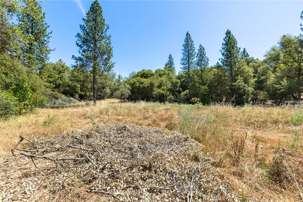 7859 Reed Lane Rackerby, CA 95972 - Photo 15 of 22