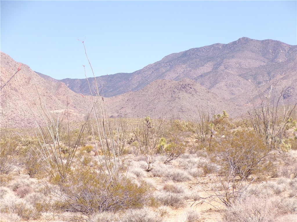 244-06-264 East Joshua Road Yucca, AZ 86438 - Photo 4 of 6 a view of a dry yard with mountains in the background