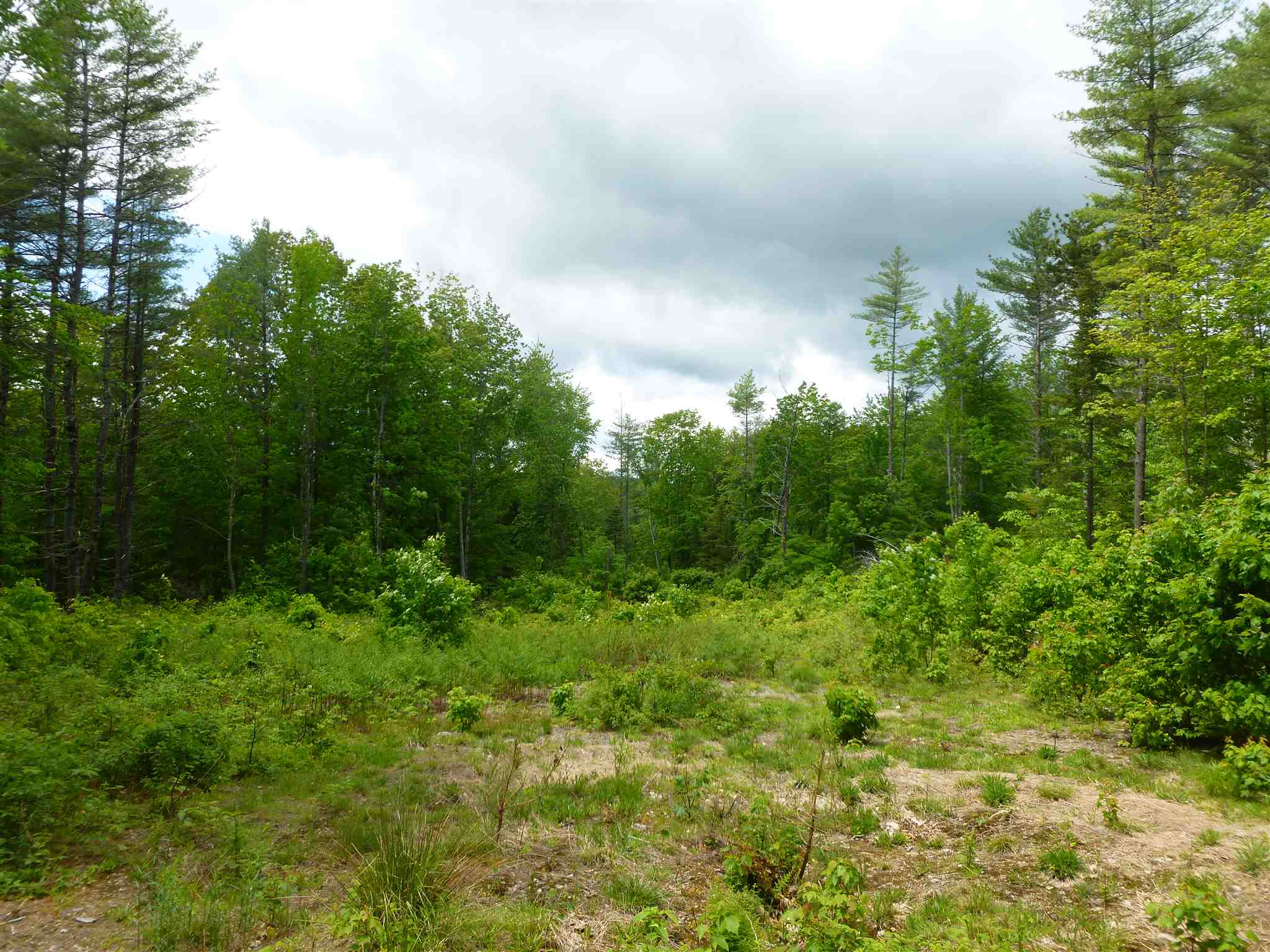2 Garney Road Brookfield, NH 03872 - Photo 3 of 7