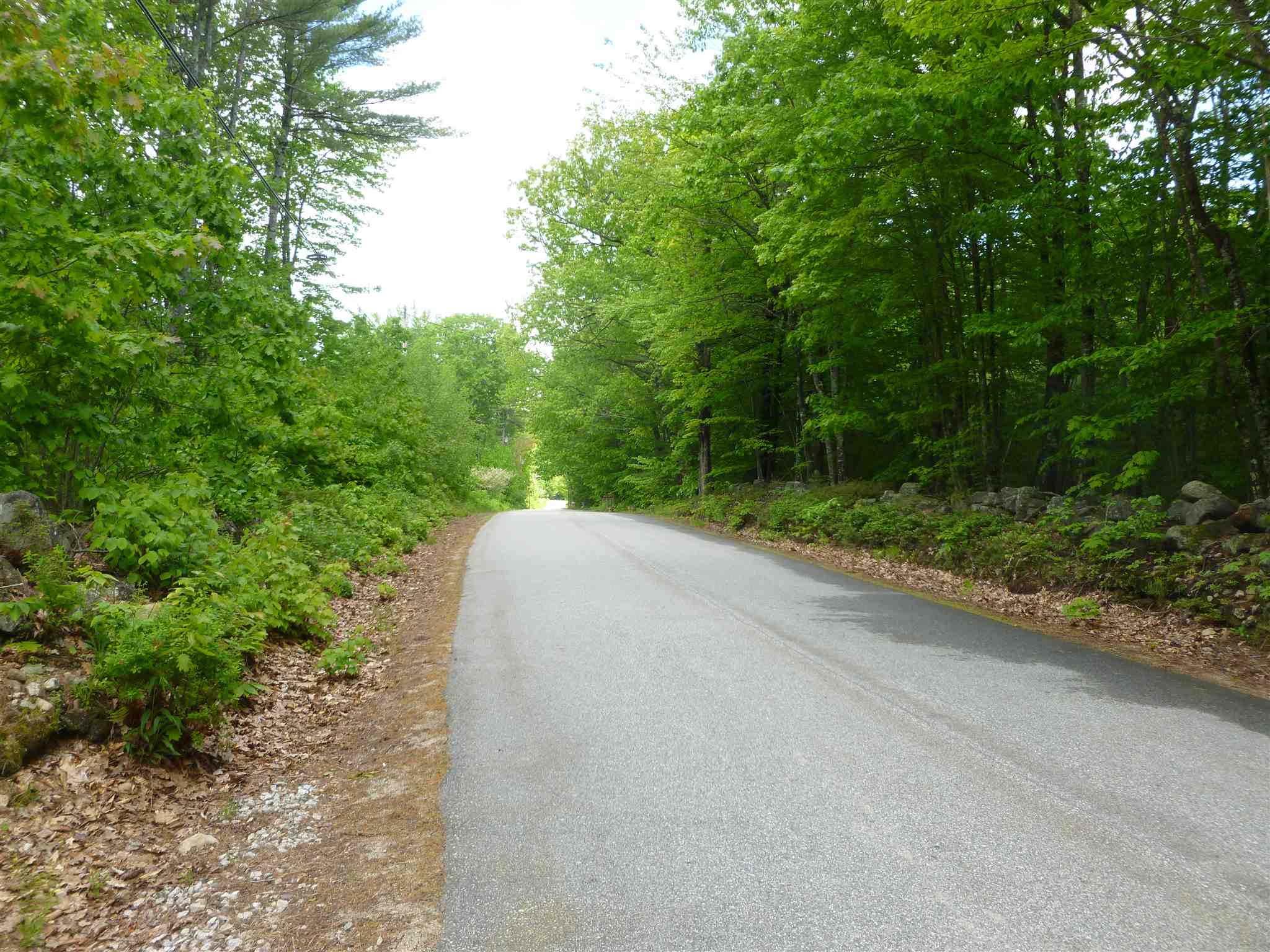 2 Garney Road Brookfield, NH 03872 - Photo 4 of 7