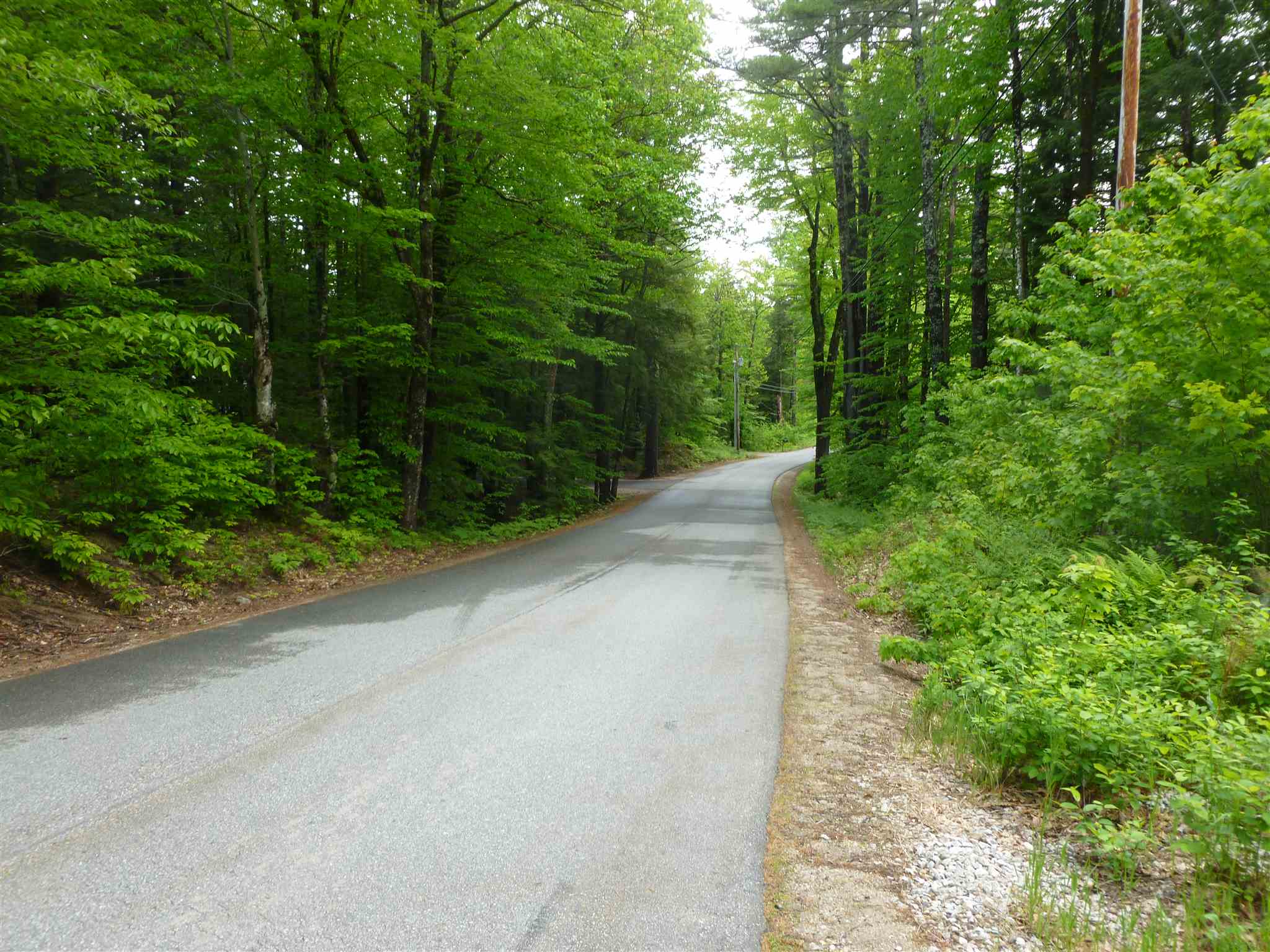 2 Garney Road Brookfield, NH 03872 - Photo 5 of 7