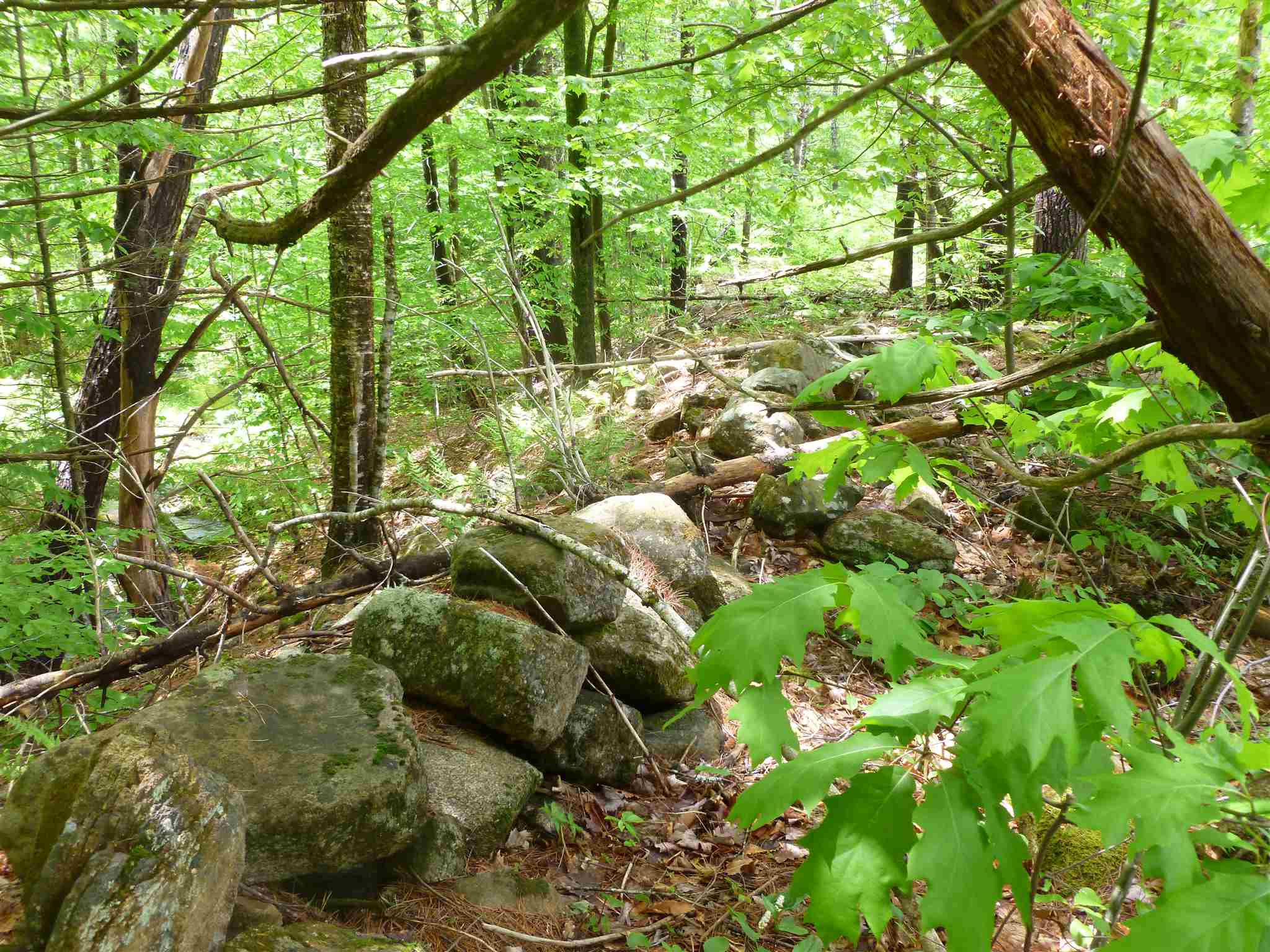 2 Garney Road Brookfield, NH 03872 - Photo 6 of 7