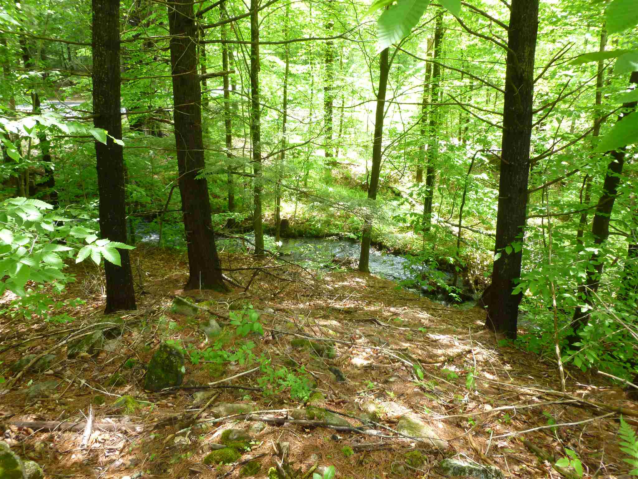 2 Garney Road Brookfield, NH 03872 - Photo 7 of 7