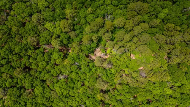 a view of a lush green field