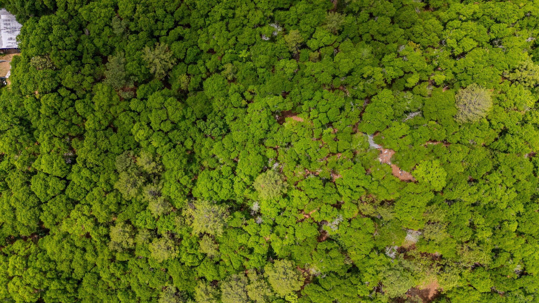 5.31-ac Xx John Nix Road Crestview, FL 32539 - Photo 13 of 22 a view of a green field with a lush green space