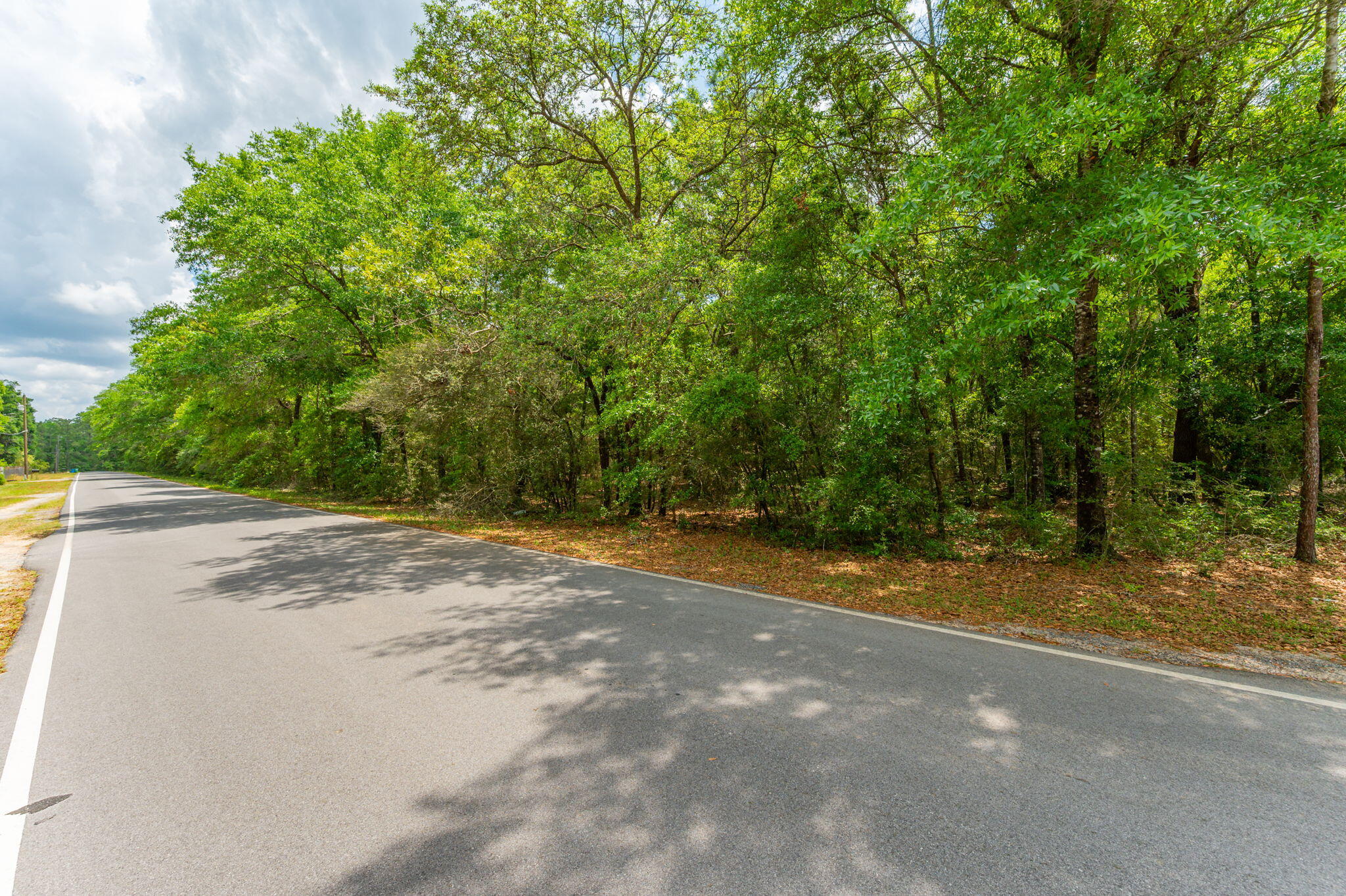 5.31-ac Xx John Nix Road Crestview, FL 32539 - Photo 21 of 22 a view of a yard with large trees