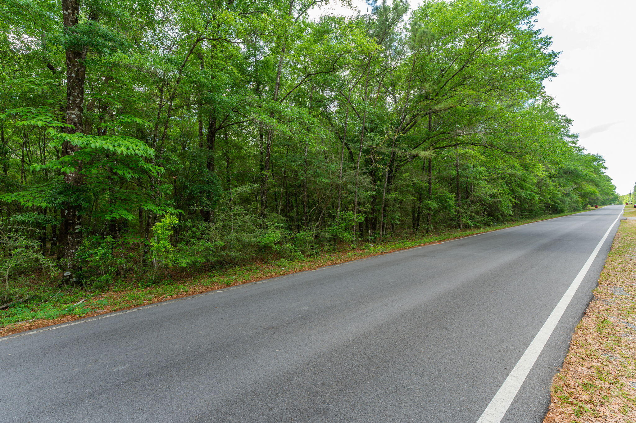 5.31-ac Xx John Nix Road Crestview, FL 32539 - Photo 4 of 22 a view of a road from a balcony