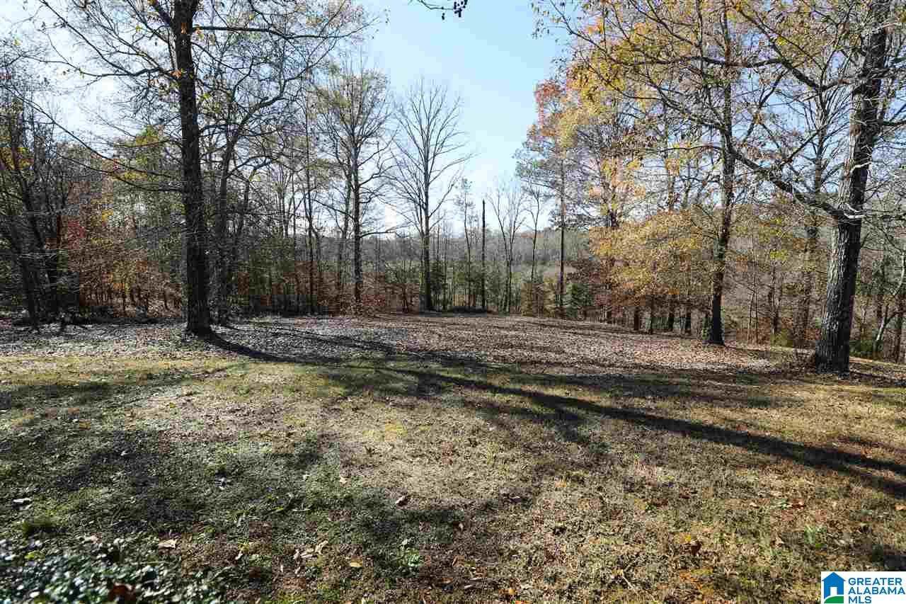 20920 Walaneut Lane Vance, AL 35490 - Photo 33 of 39