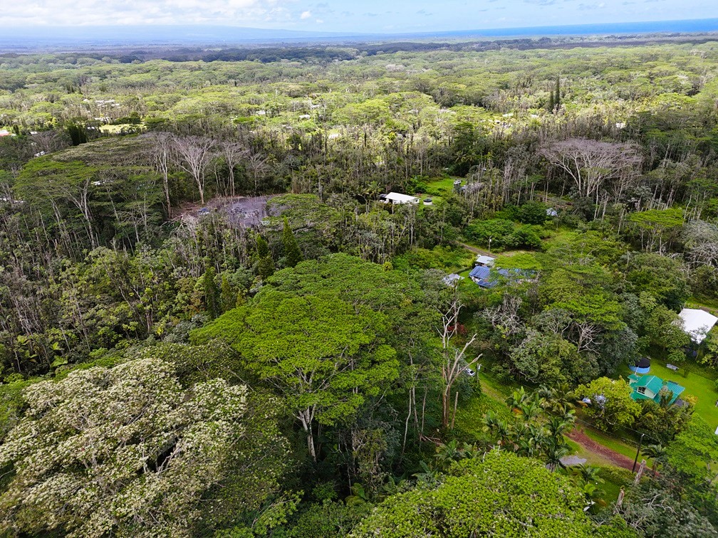 814 Shell Road Pahoa, HI 96778 - Photo 3 of 17 Gallery Image 3
