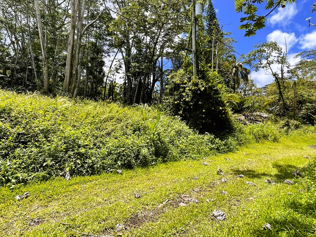 814 Shell Road Pahoa, HI 96778 - Photo 4 of 17 Gallery Image 4