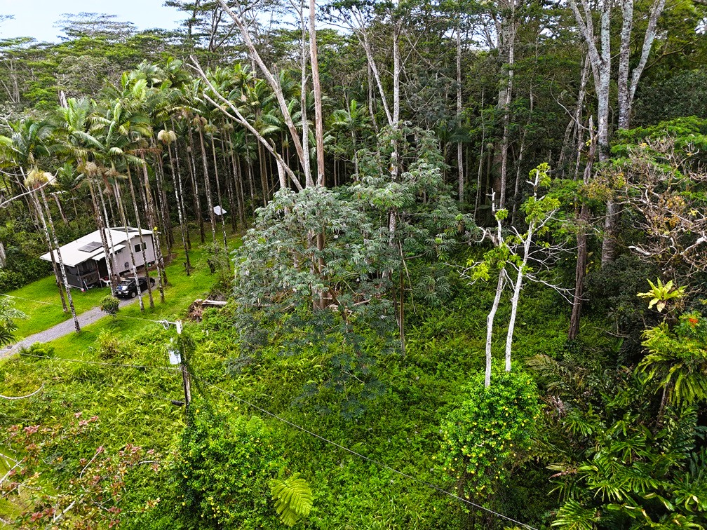814 Shell Road Pahoa, HI 96778 - Photo 7 of 17 Gallery Image 7