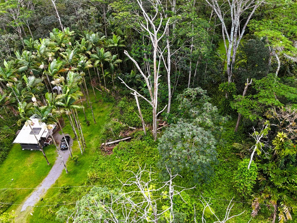 814 Shell Road Pahoa, HI 96778 - Photo 8 of 17 Gallery Image 8