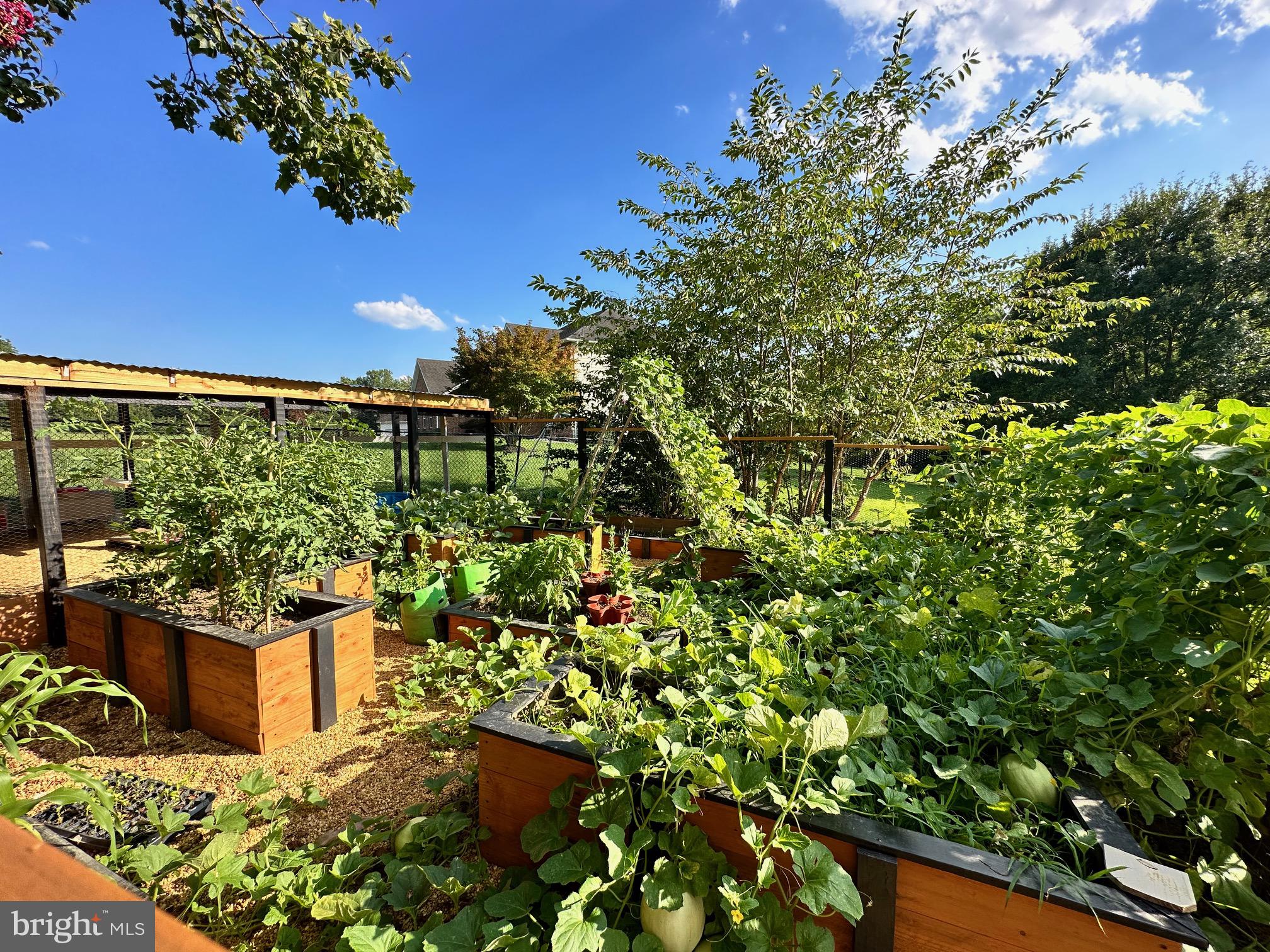 5265 Celestial Lane Waldorf, MD 20601 - Photo 80 of 111 Raised Garden and Chicken Coop