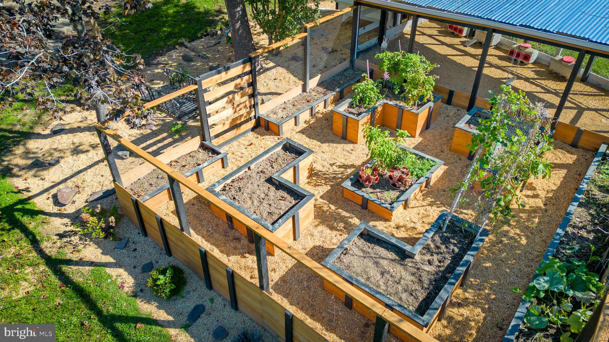 5265 Celestial Lane Waldorf, MD 20601 - Photo 82 of 111 Raised Garden and Chicken Coop