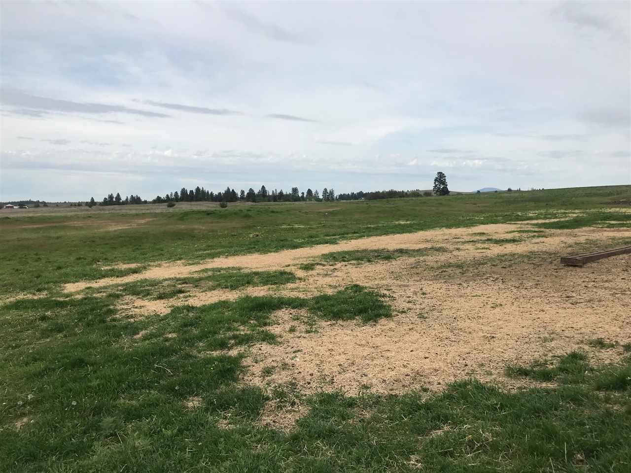 288-xx South Cheney Spangle Road Cheney, WA 99004 - Photo 2 of 4