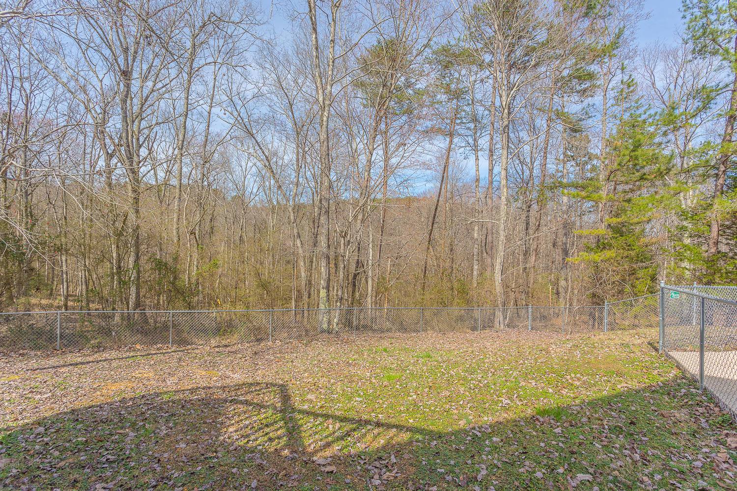 507 Majesty Road Soddy Daisy, TN 37379 - Photo 47 of 54 507 Majesty HD_-14