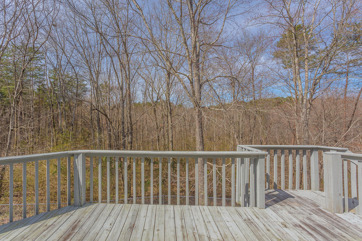 507 Majesty Road Soddy Daisy, TN 37379 - Photo 52 of 54 507 Majesty HD_-22