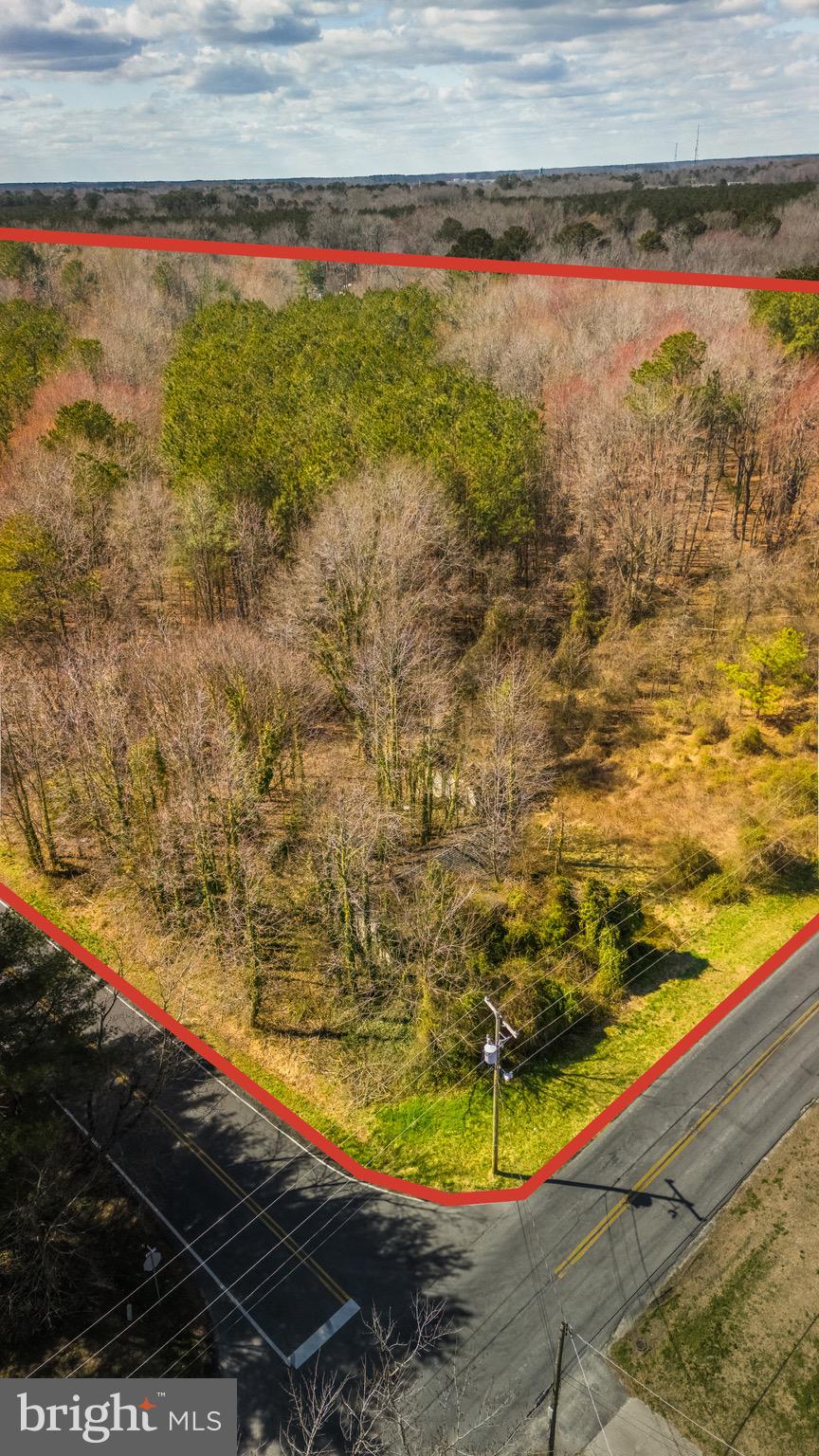 26127 Hobbs Road Denton, MD 21629 - Photo 11 of 30