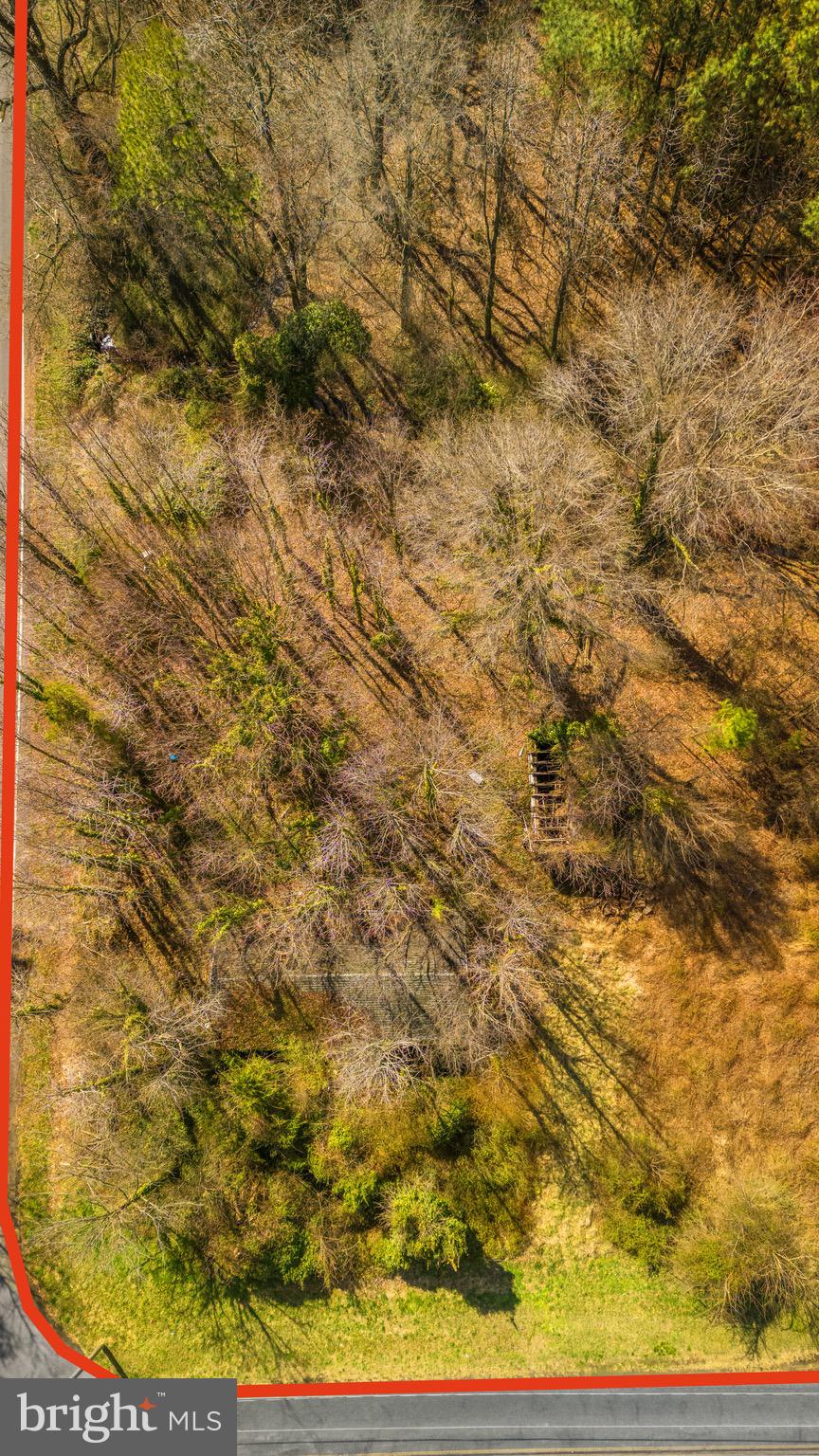 26127 Hobbs Road Denton, MD 21629 - Photo 12 of 30