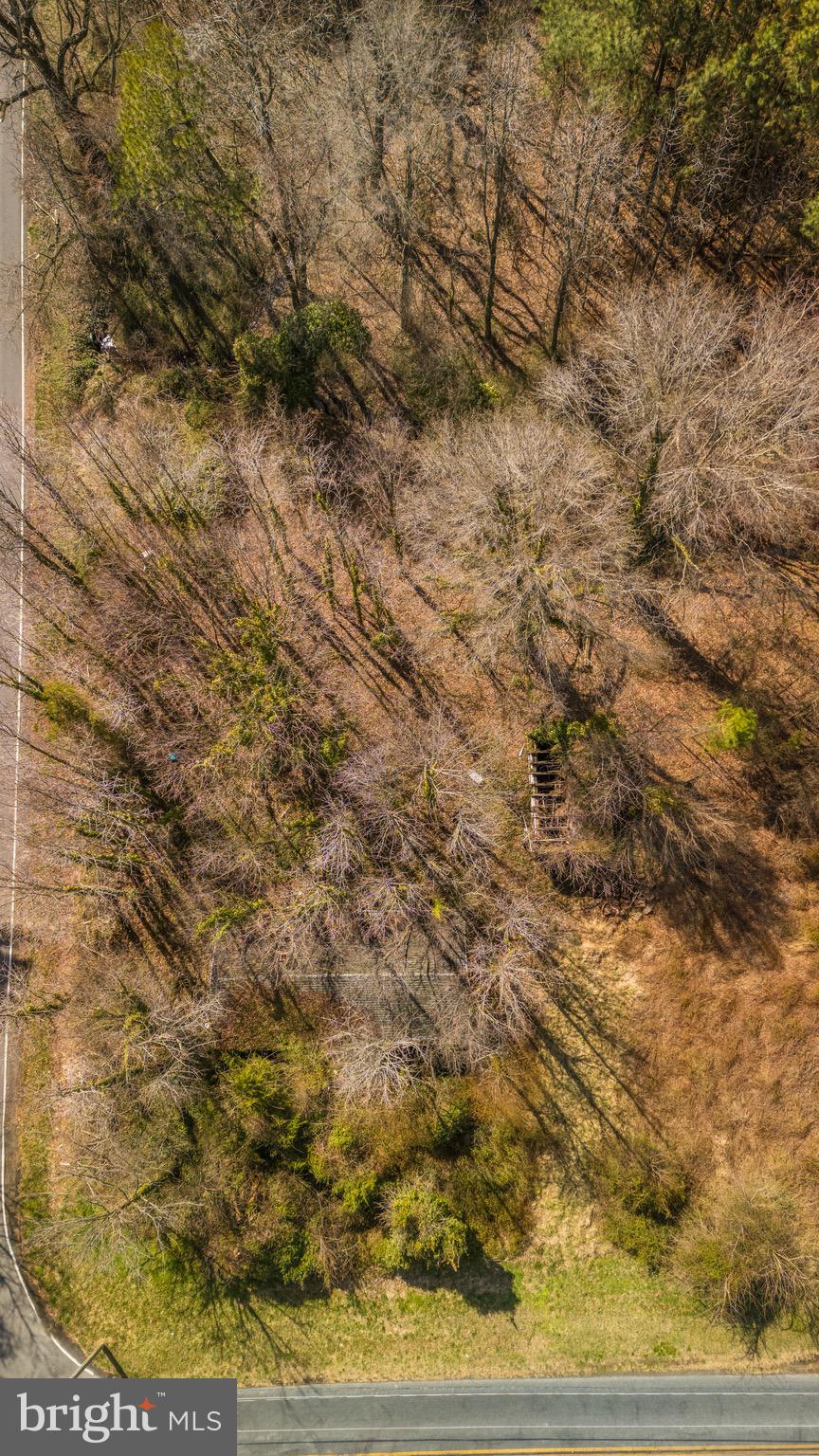 26127 Hobbs Road Denton, MD 21629 - Photo 16 of 30