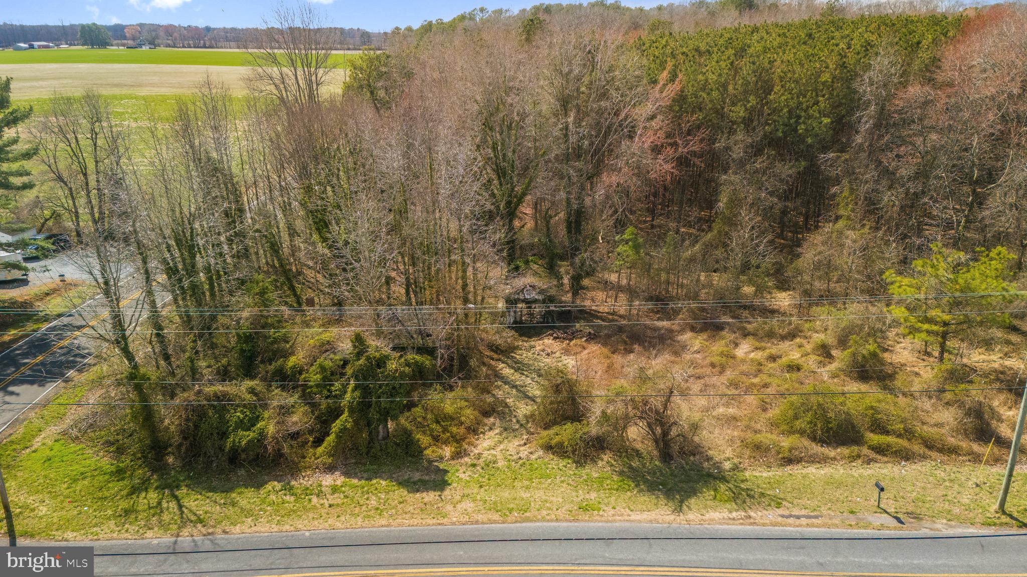 26127 Hobbs Road Denton, MD 21629 - Photo 20 of 30