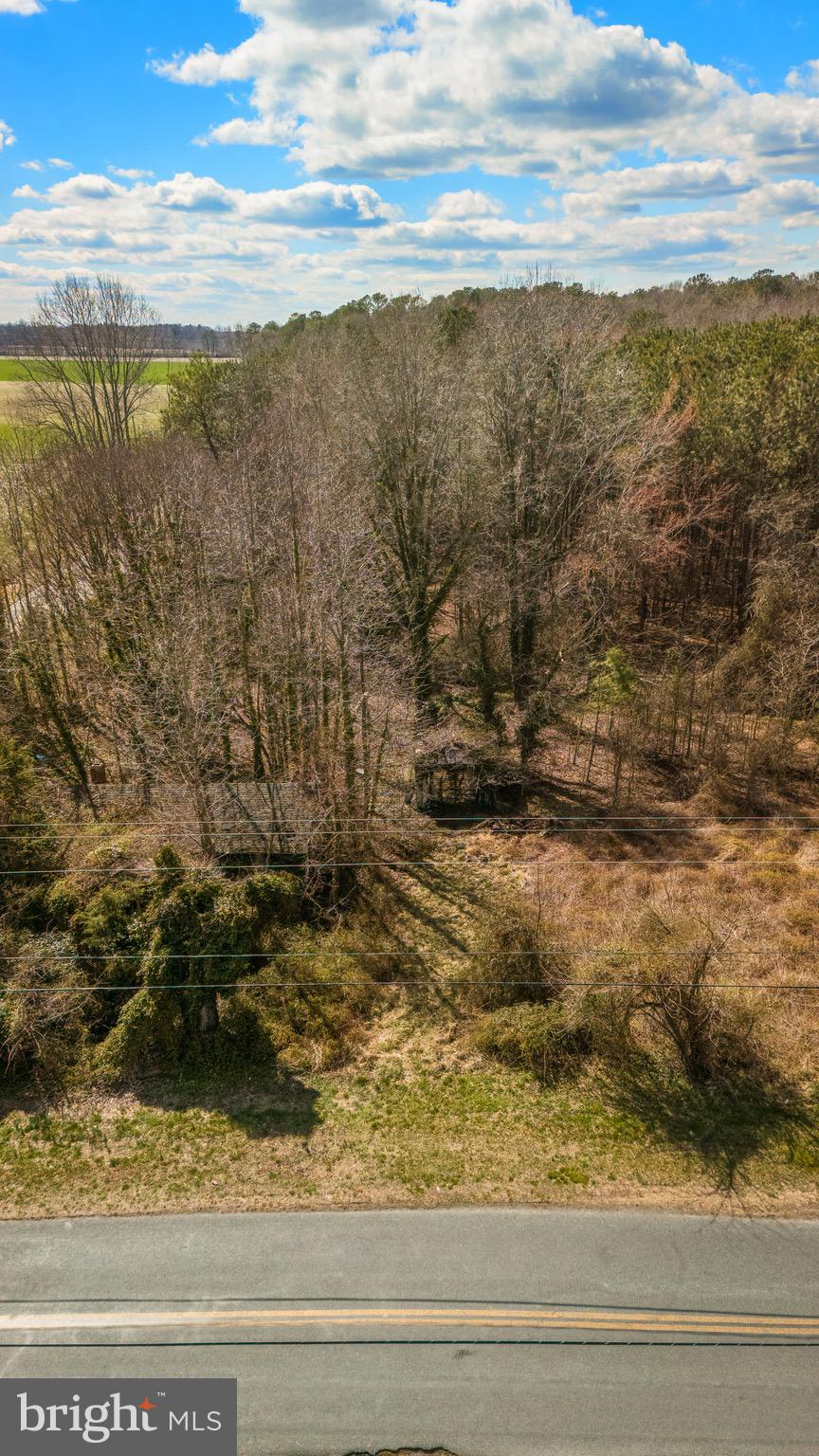 26127 Hobbs Road Denton, MD 21629 - Photo 24 of 30