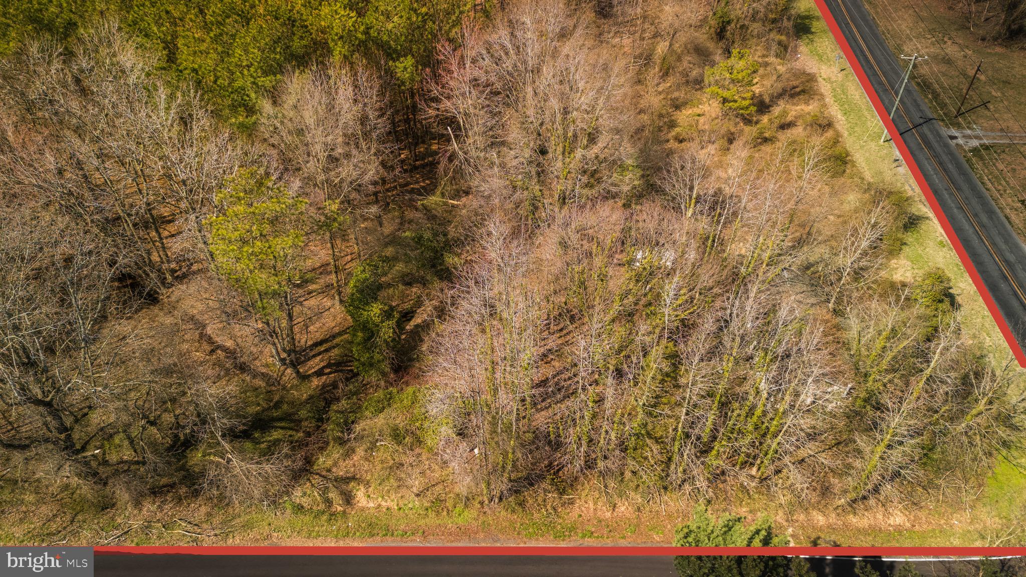 26127 Hobbs Road Denton, MD 21629 - Photo 25 of 30