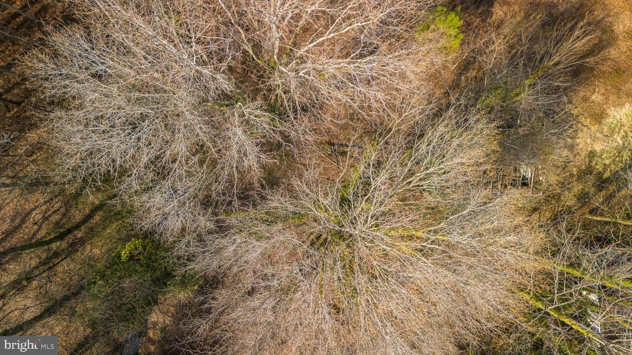 26127 Hobbs Road Denton, MD 21629 - Photo 30 of 30