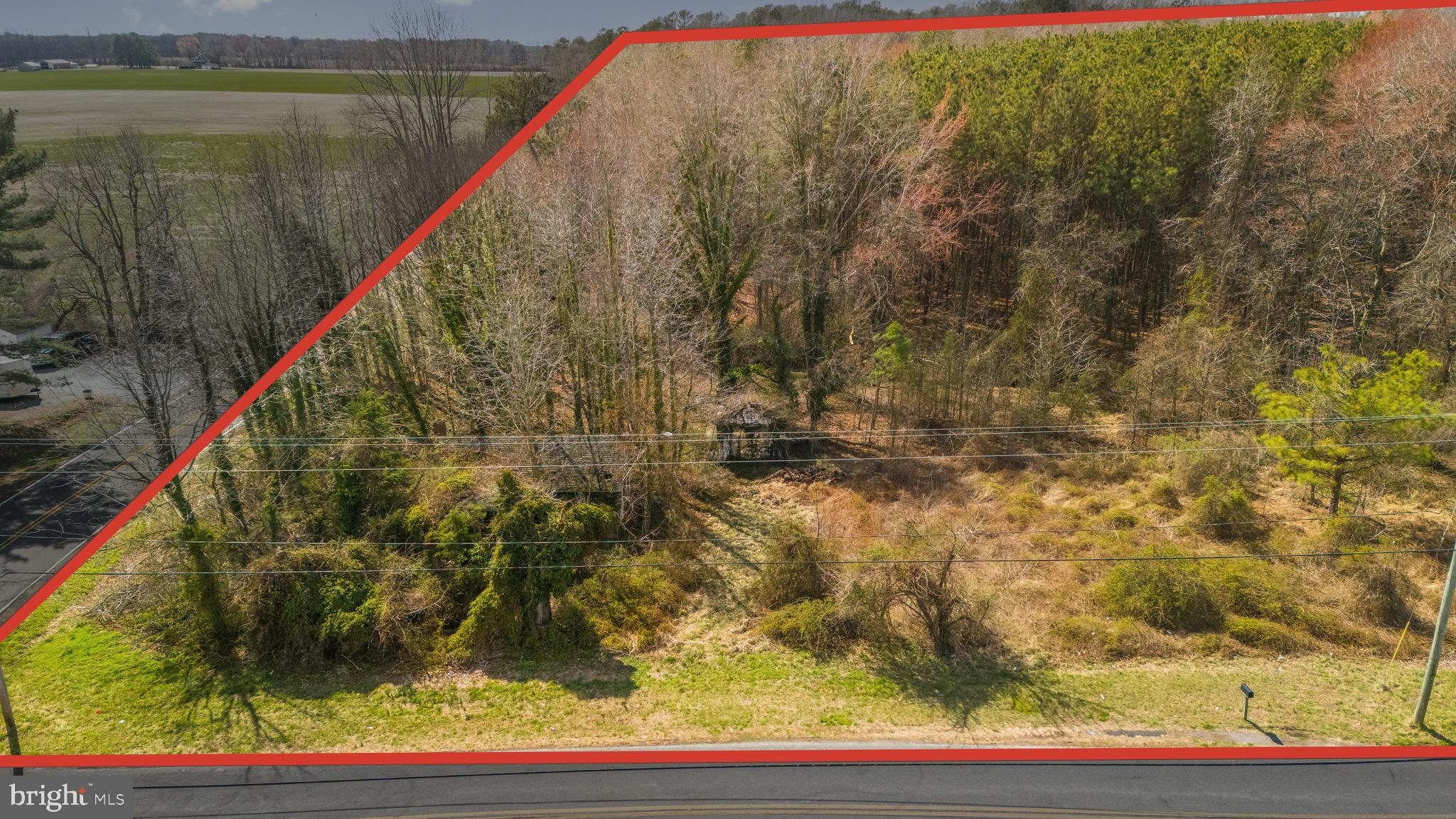 26127 Hobbs Road Denton, MD 21629 - Photo 4 of 30