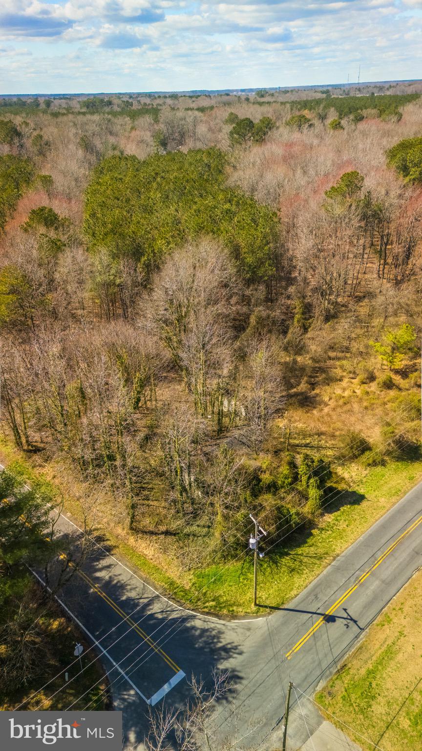 26127 Hobbs Road Denton, MD 21629 - Photo 6 of 30