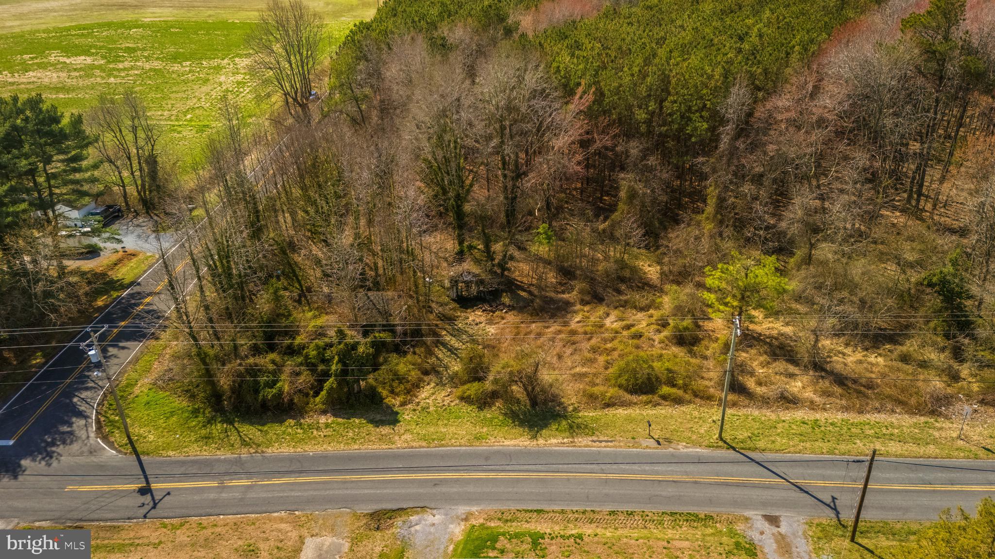 26127 Hobbs Road Denton, MD 21629 - Photo 8 of 30