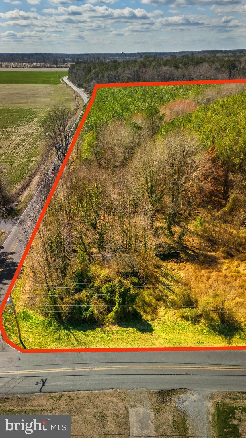 26127 Hobbs Road Denton, MD 21629 - Photo 10 of 30