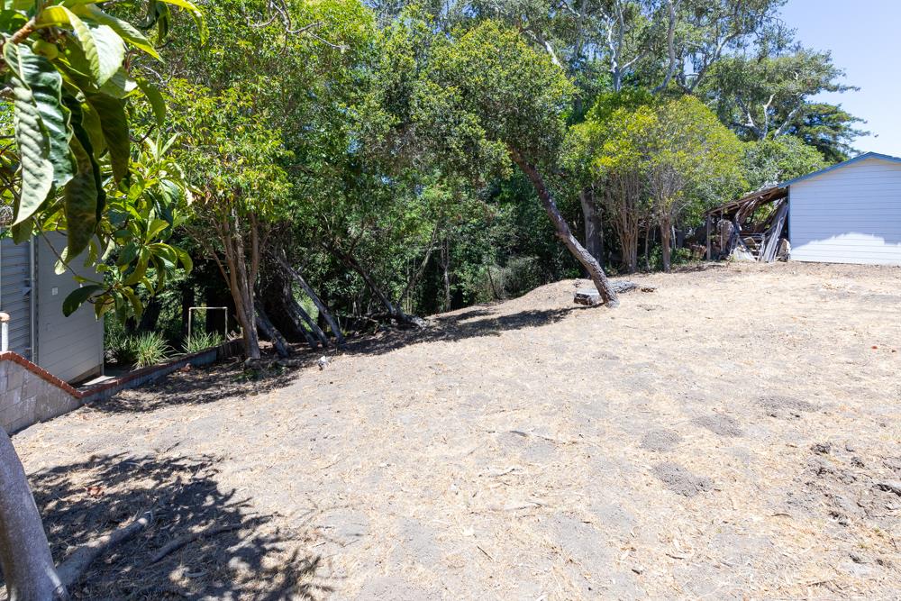 771 Seacliff Drive Aptos, CA 95003 - Photo 18 of 26 a view of a backyard of the house
