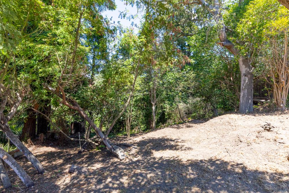 771 Seacliff Drive Aptos, CA 95003 - Photo 19 of 26 a view of a backyard of a house
