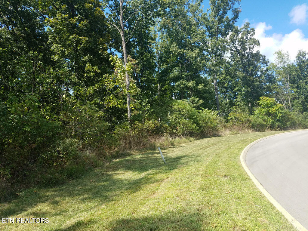 Lot 136 Tumbleweed Trail Rutledge, TN 37861 - Photo 16 of 26 Lot 136 Tumbleweed Trl - 16