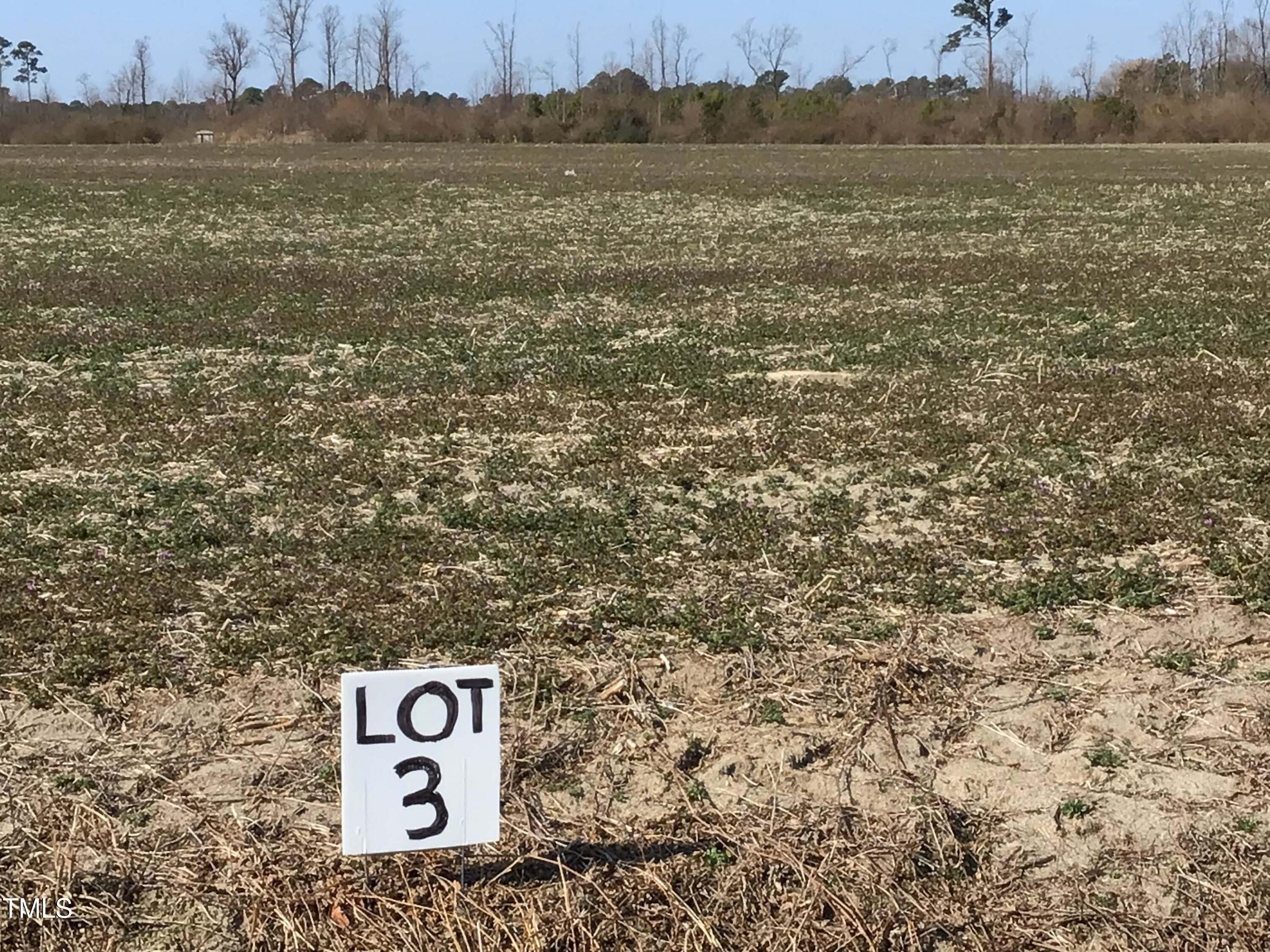 Lot 3 North Blizzardtown Road Pink Hill, NC 28572 - Photo 2 of 6 Lot 3 (4)